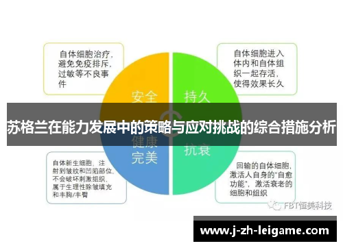 苏格兰在能力发展中的策略与应对挑战的综合措施分析