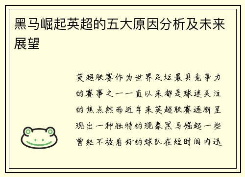 黑马崛起英超的五大原因分析及未来展望 黑马崛起英超的五大原因分析及未来展望