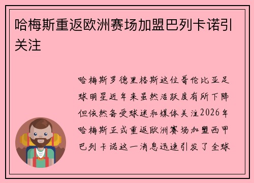 哈梅斯重返欧洲赛场加盟巴列卡诺引关注 哈梅斯重返欧洲赛场加盟巴列卡诺引关注